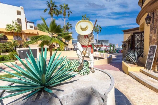 Drinking Age In Cabo San Lucas