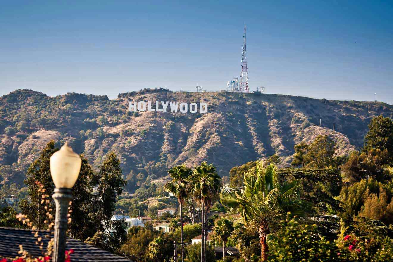 hollywood sign on top of a mountain with palm trees