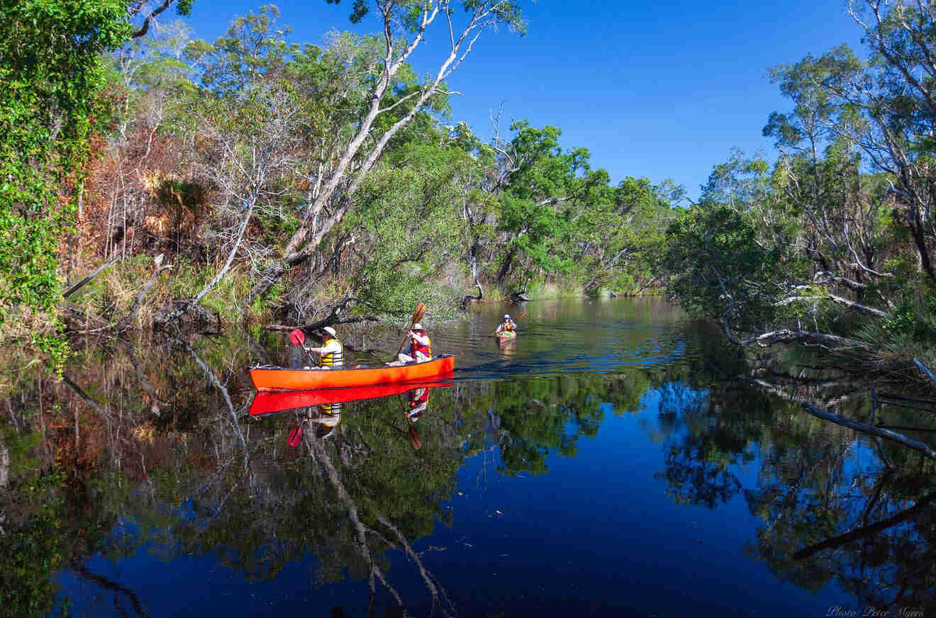 People rowing a canoe