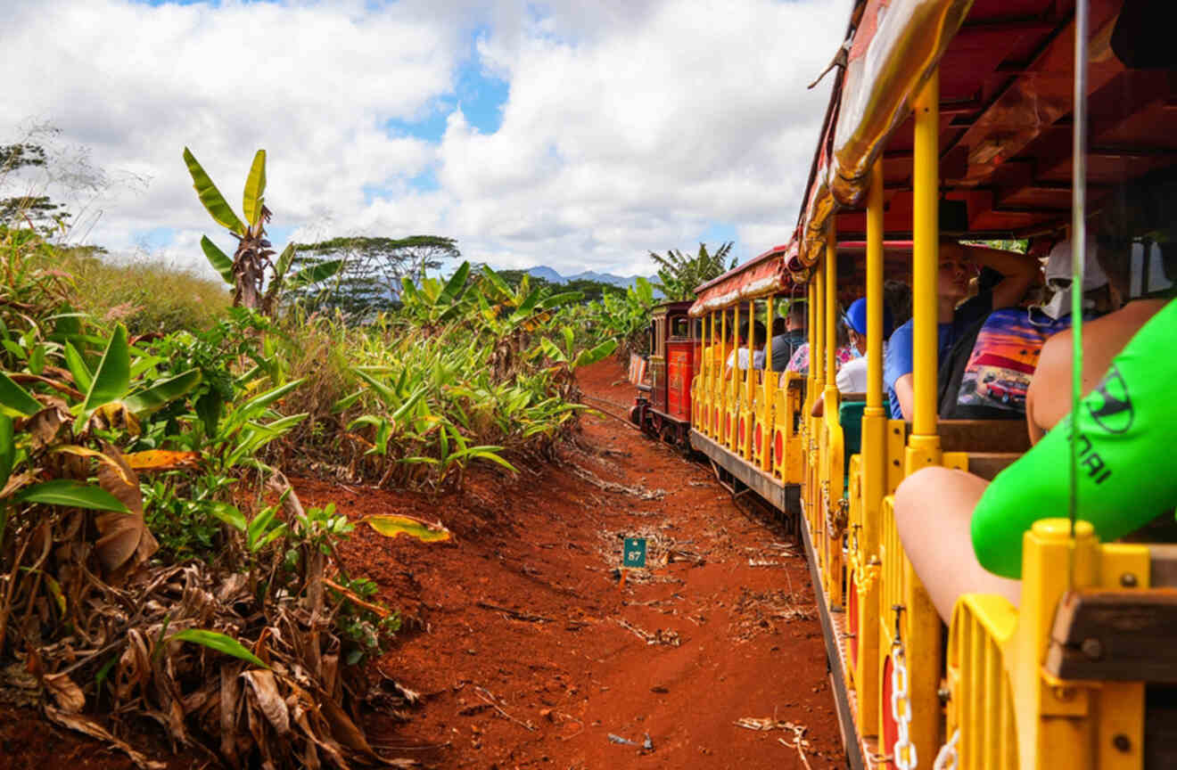People riding in the Pineapple Express at the Dole Pineapple Plantation