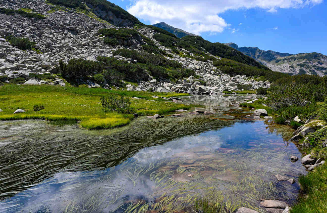 Lake and nature on Pirin Mountains