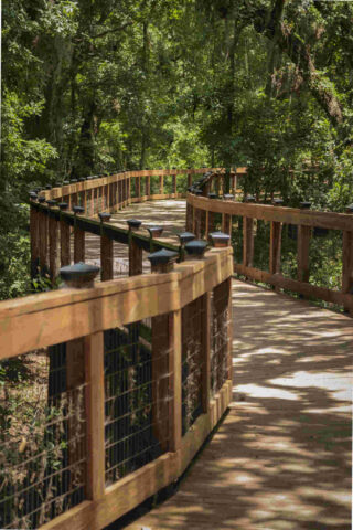 wooden footpath in Tallahassee