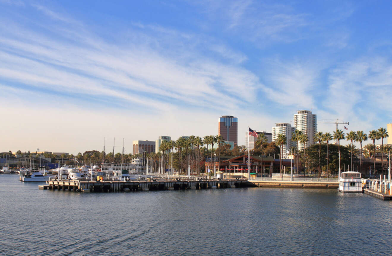 View of Downtown Long Beach showcasing a dock with several moored yachts, a tour boat, and a row of palm trees set against a backdrop of modern high-rise buildings under a soft cloud-streaked sky