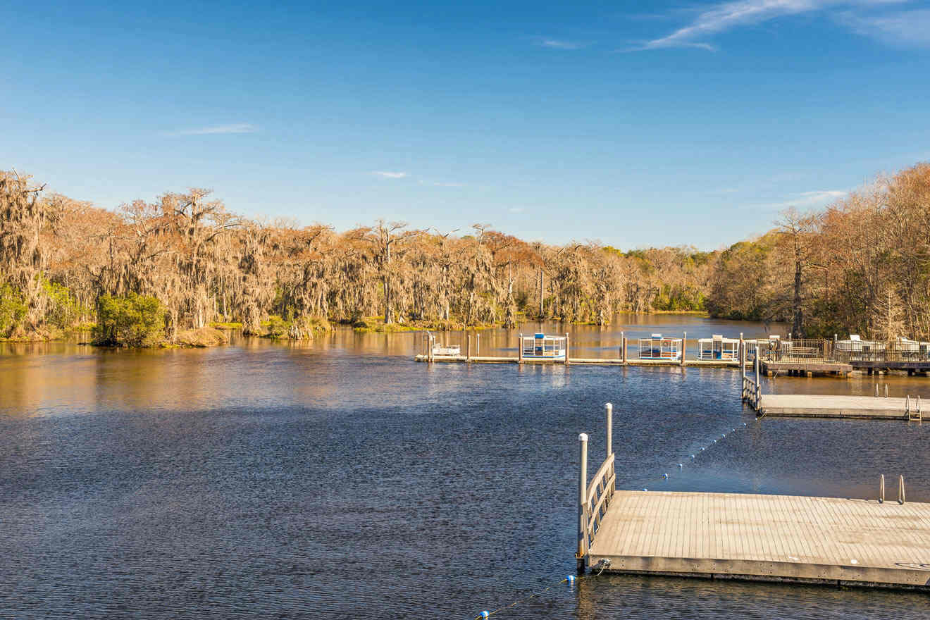 8 BEST Natural Springs in Ocala → Tips from a Local!