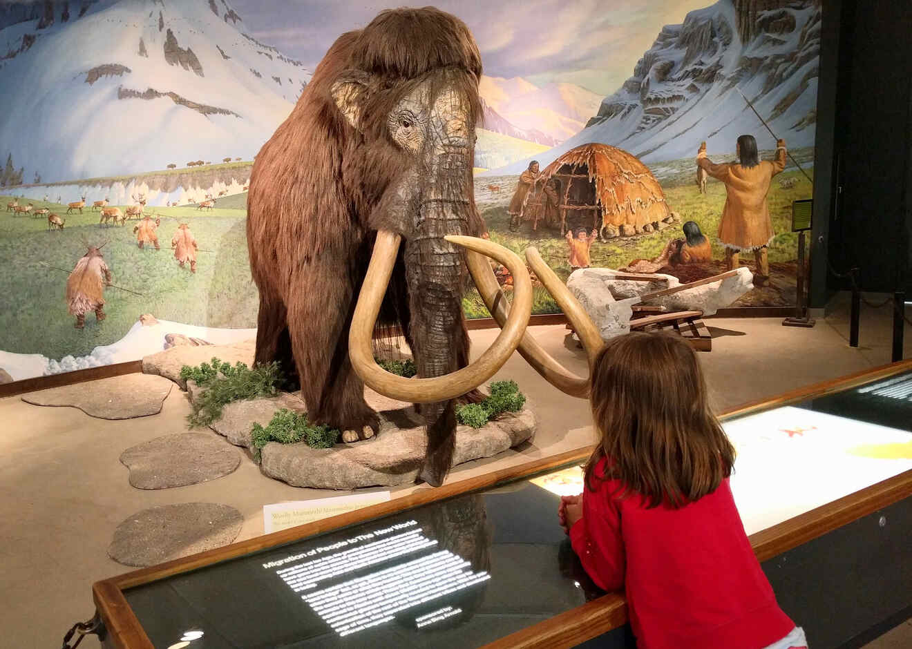 A girl looking at a mammoth