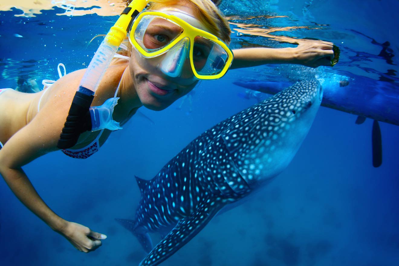 young woman snorkeling with shark
