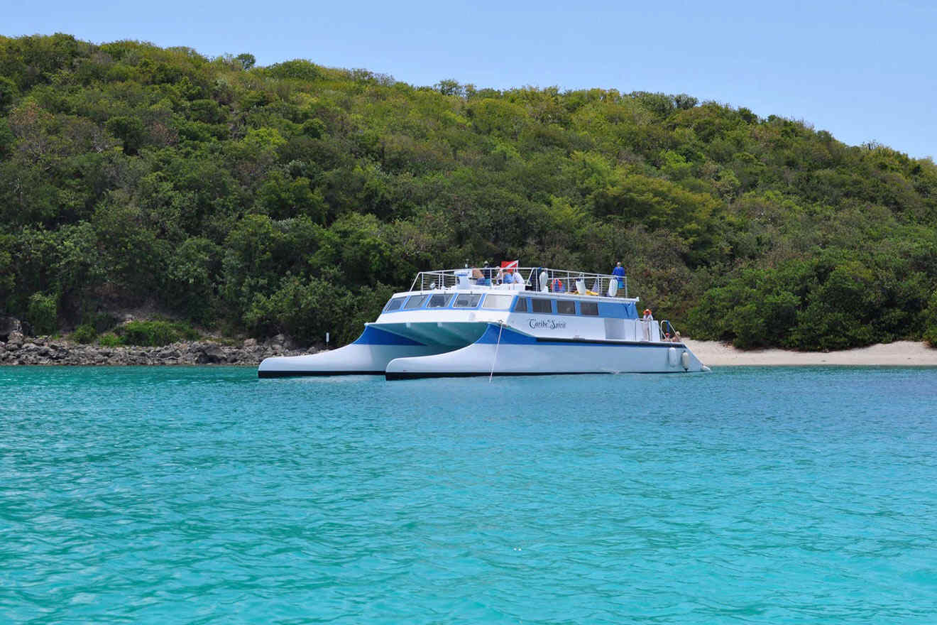 cataraman in the ocean next to greenery