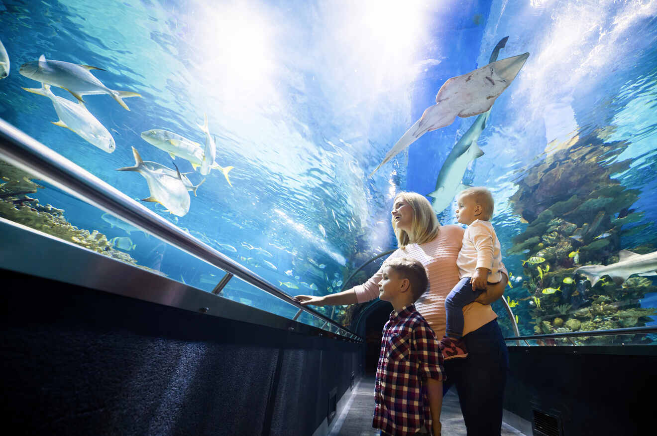 A mother and two children looking at animals in an aquarium