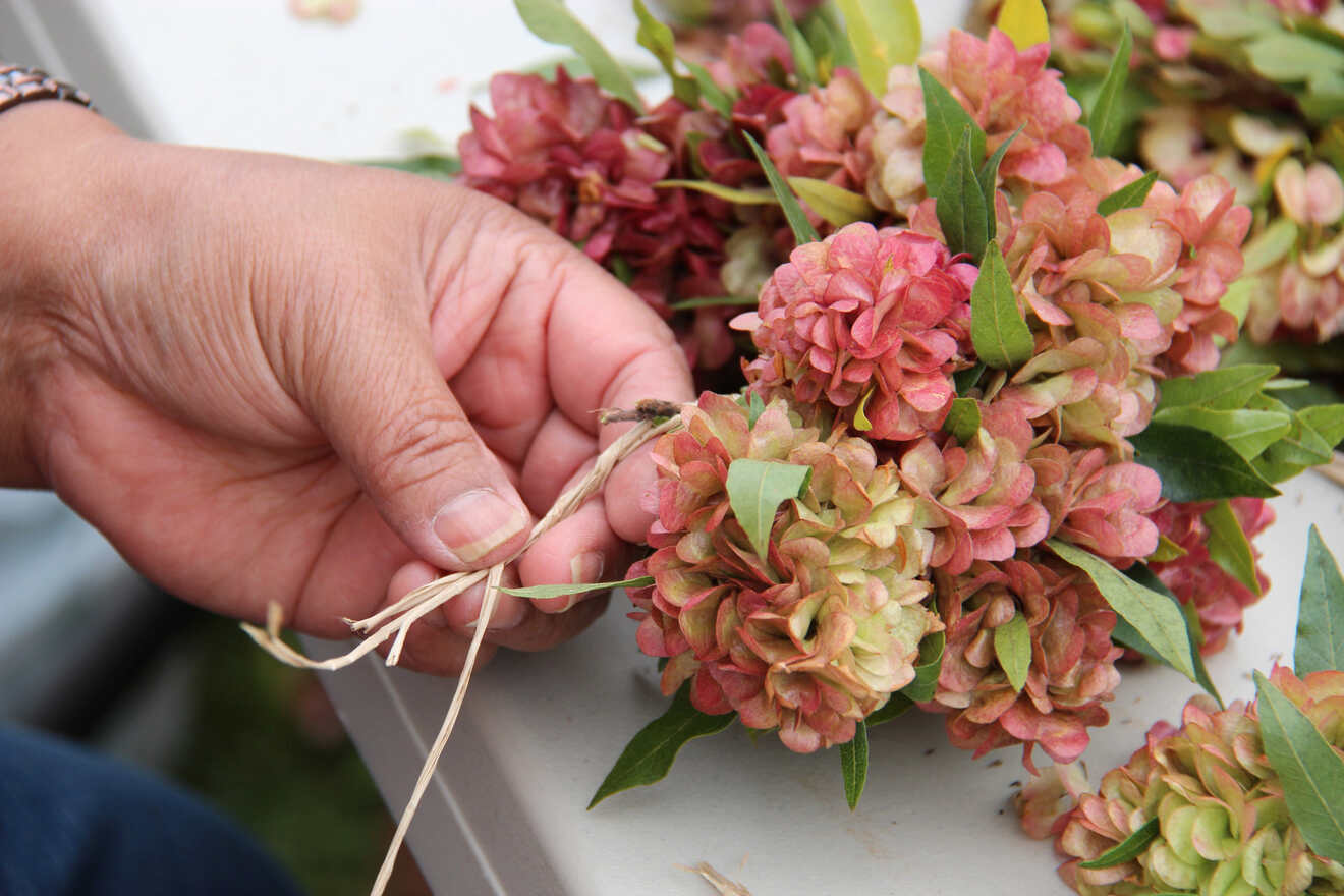 Closeup of a person making flower lei