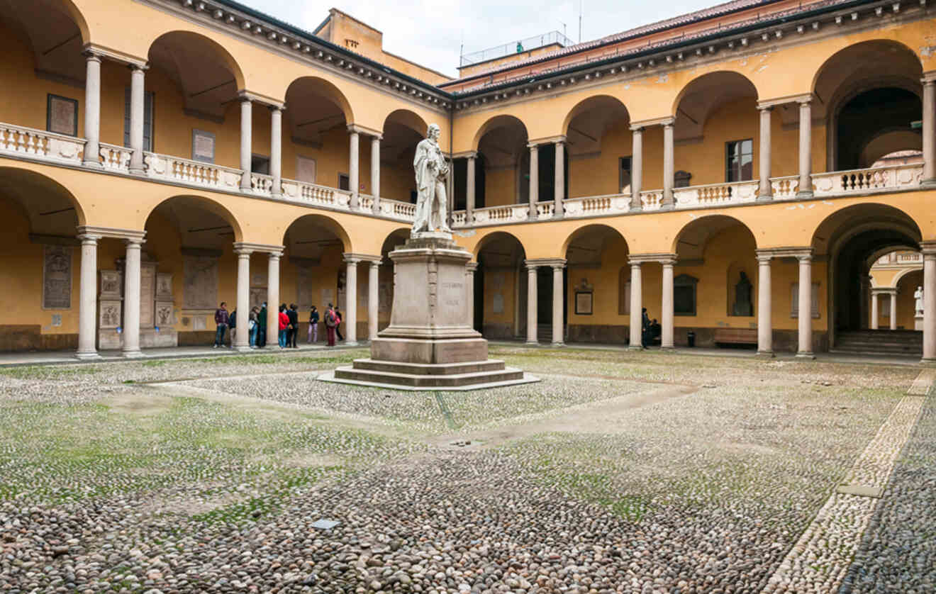 A statue in the courtyard of University of Pavia