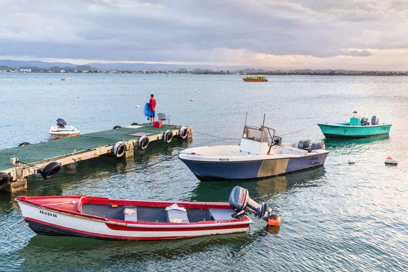 10 BEST Boat Tours in Puerto Rico with Prices