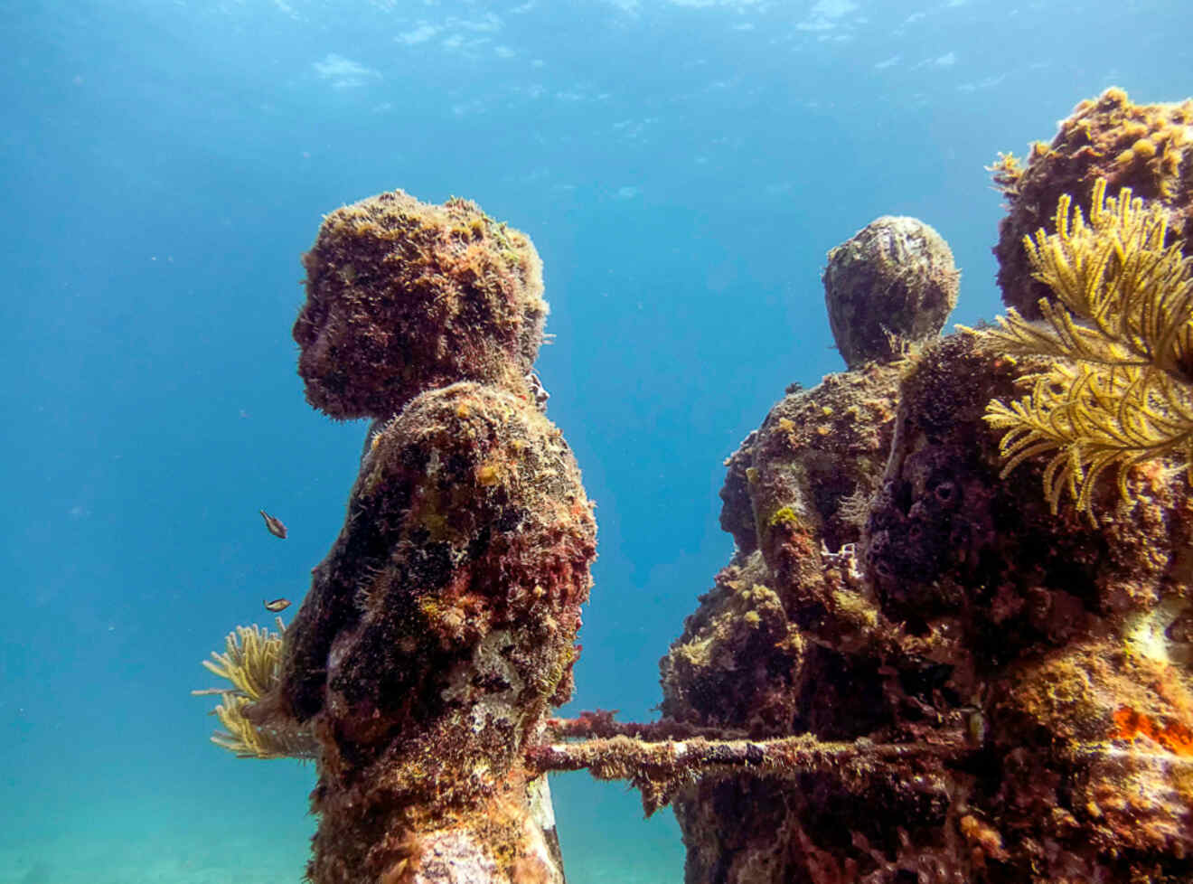 Underwater Musa Statues in Manchones Reef