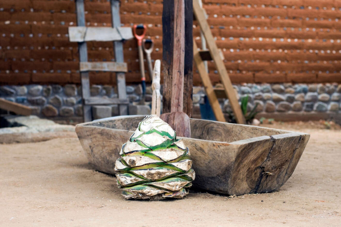 Agave processing equipment at a distillery 