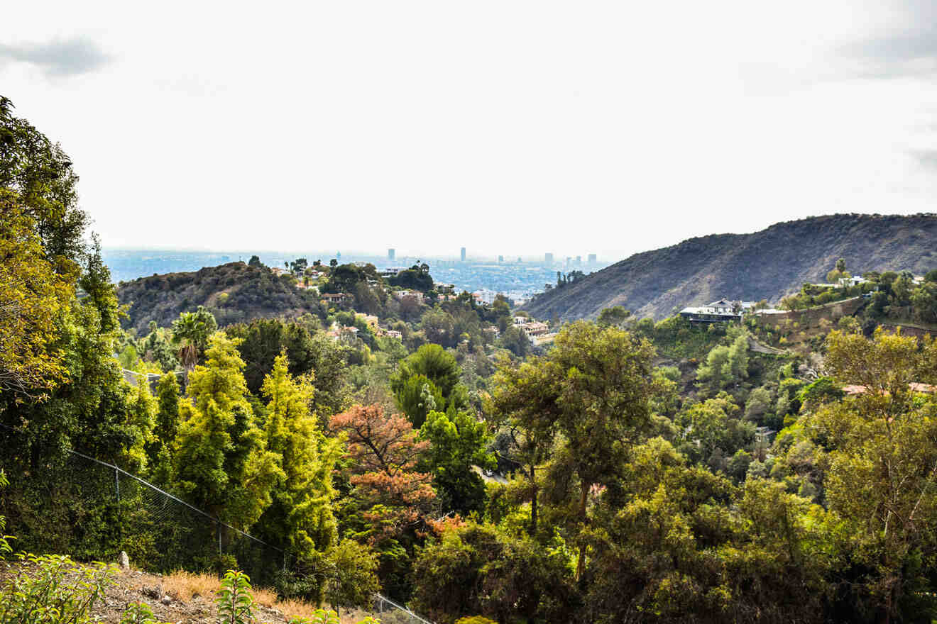 a man riding a motorcycle down a lush green hillside