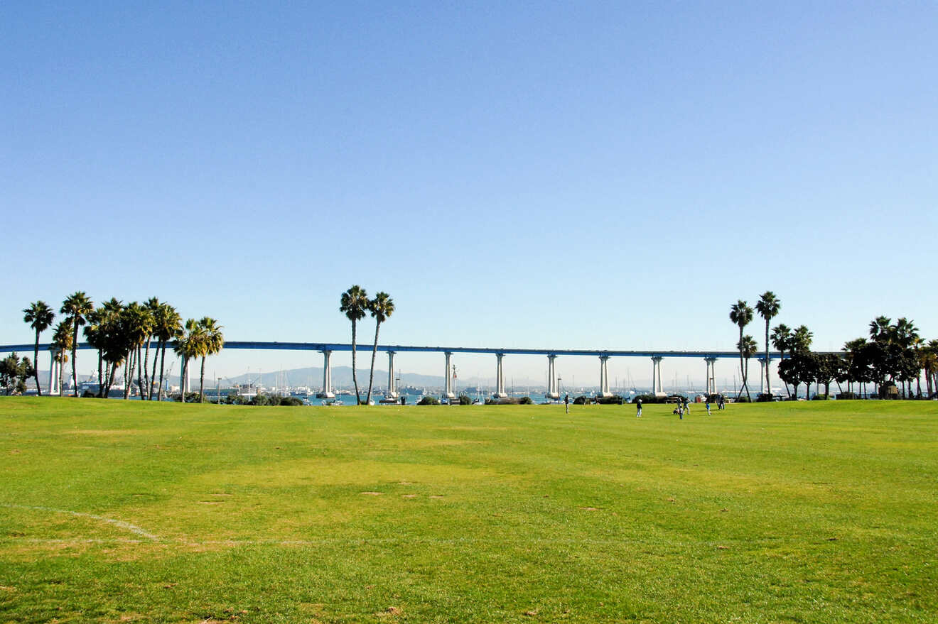 a soccer field with palm trees and a bridge in the background