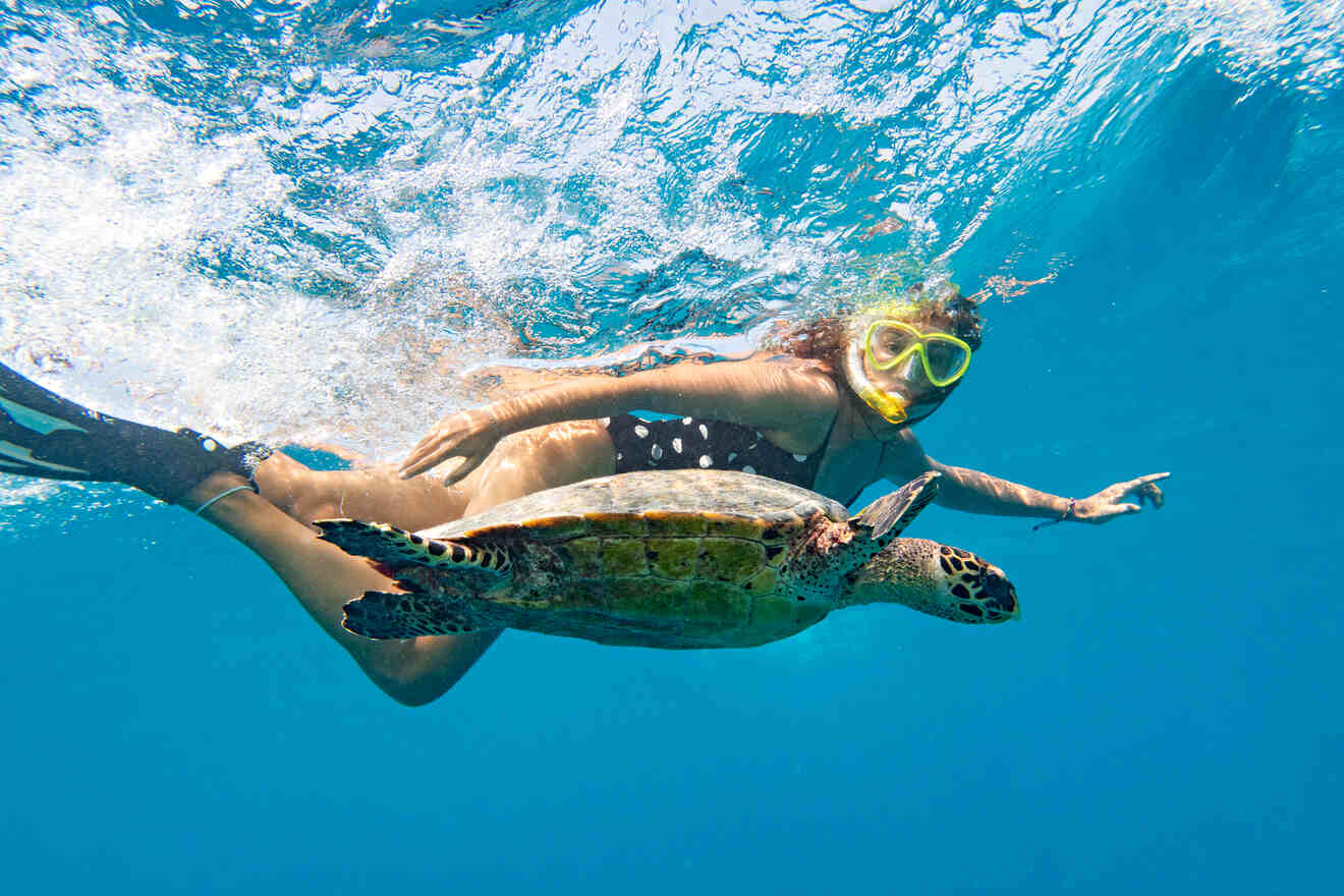 Woman swimming with a turtle
