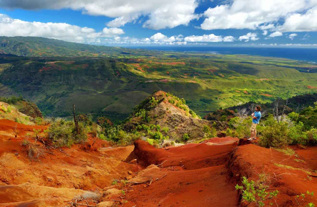 A person looking over Waimea Valley