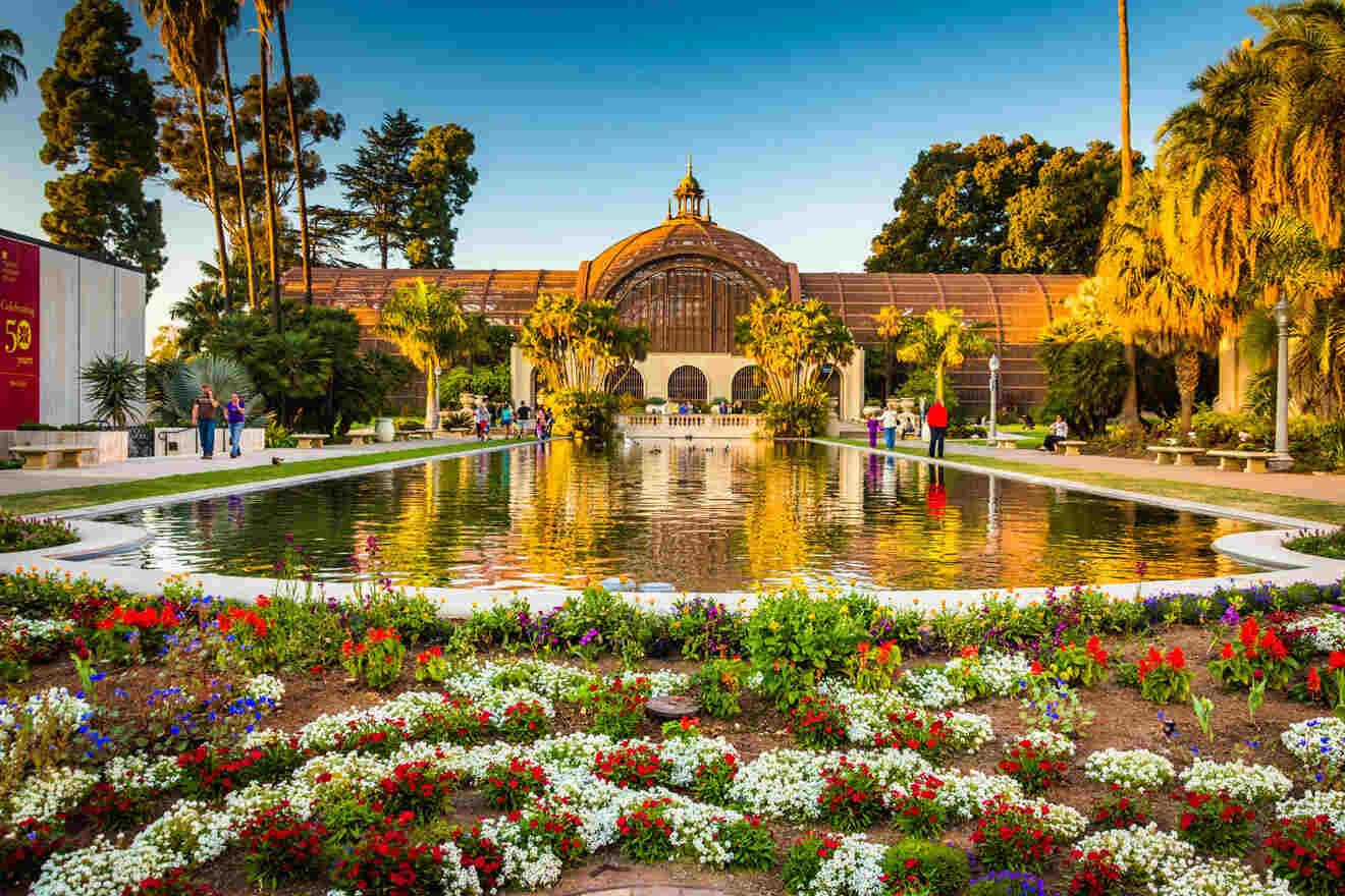 a pond surrounded by flowers and palm trees