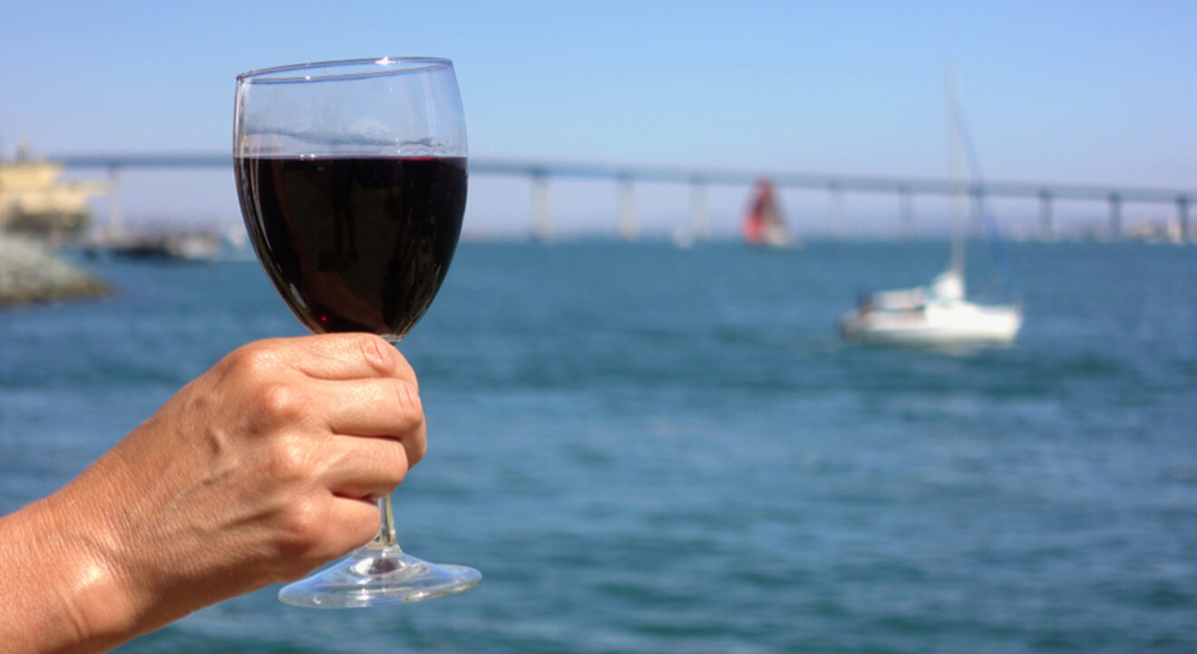 a person holding a wine glass in front of water