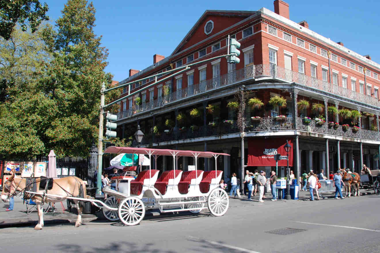 tourists and horse carriage next to Pontalba Building in New Orleans