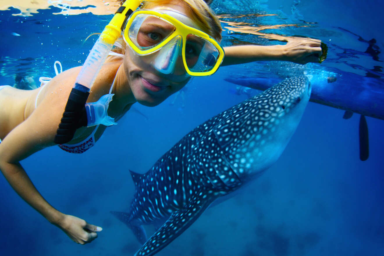 A girl with snorkeling mask diving with a whale shark