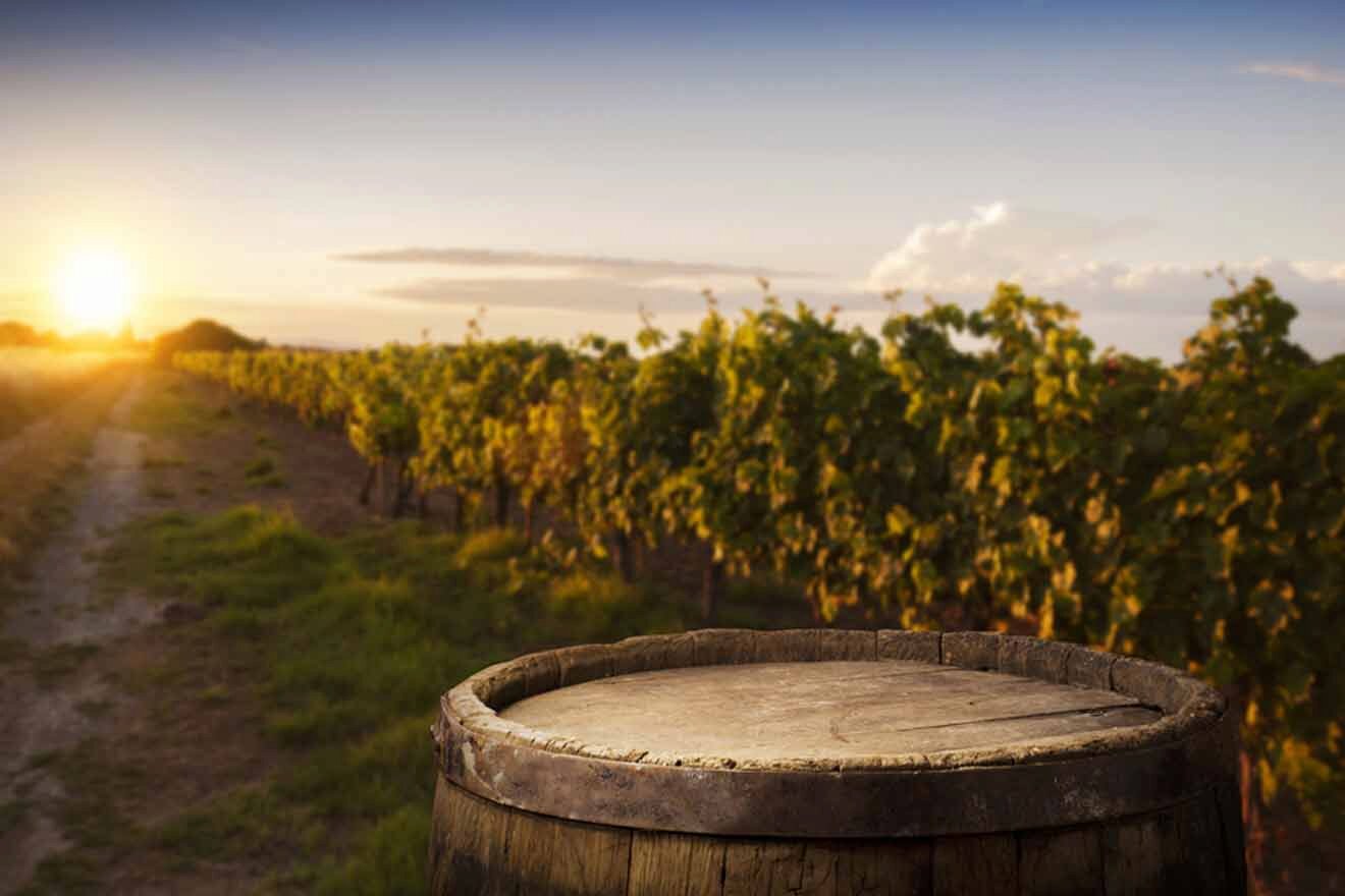 wooden barrel with vineyard landscape at sunset