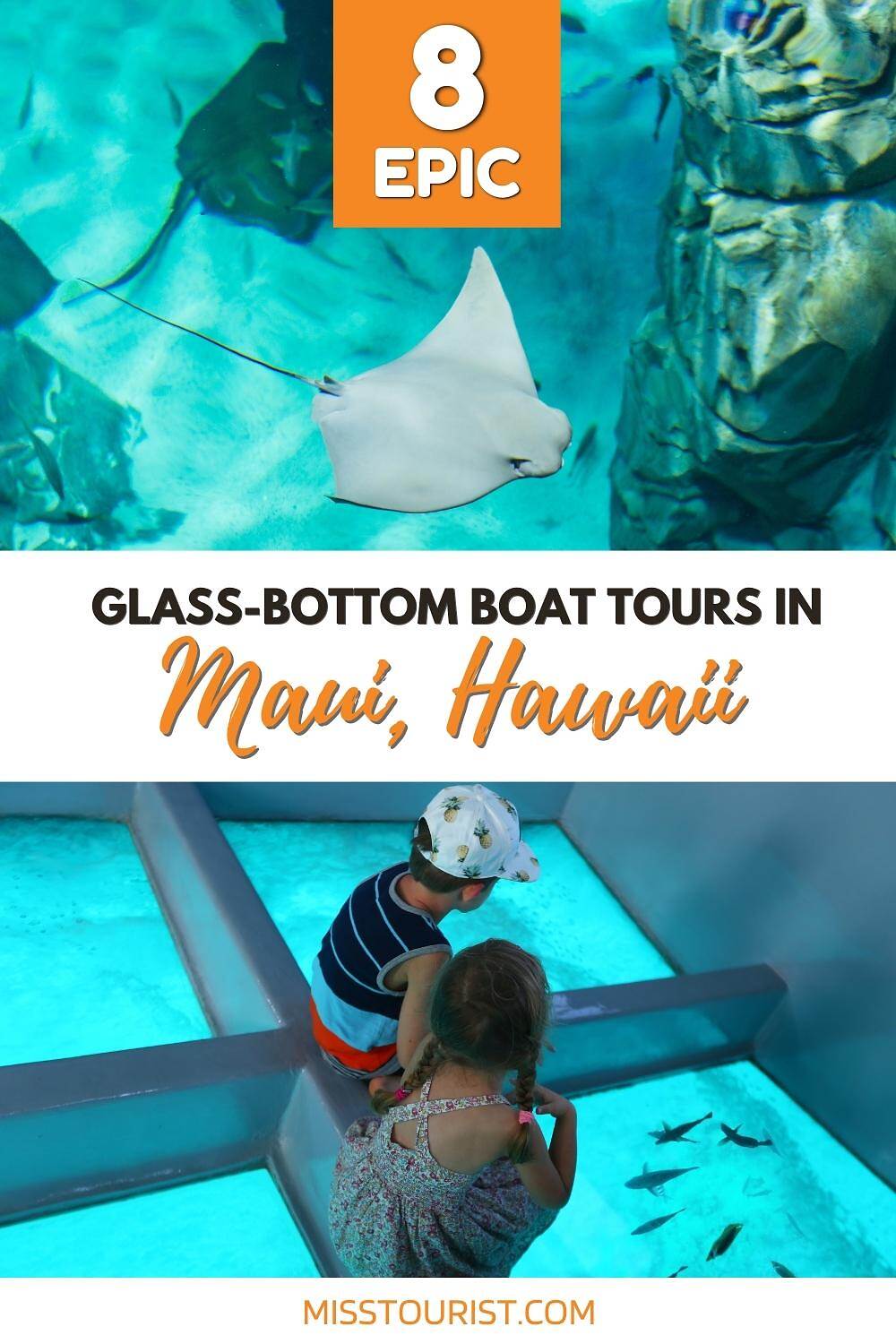 7 EPIC Tours in a GlassBottom Boat in Maui (2024 Update)