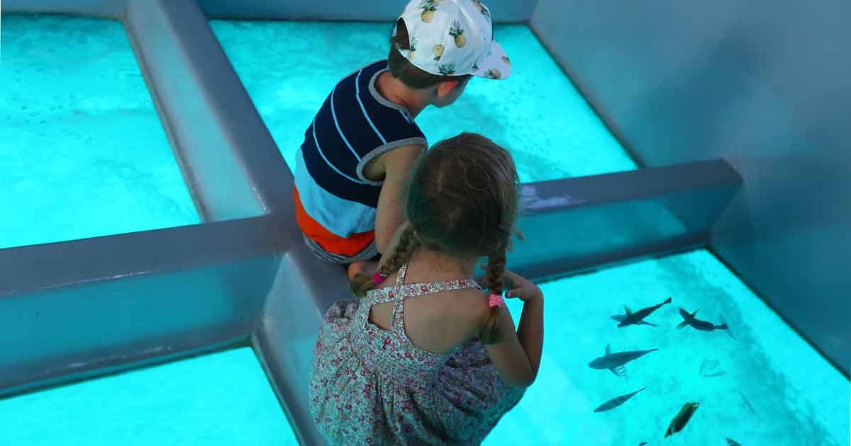 7 EPIC Tours in a GlassBottom Boat in Maui (2024 Update)