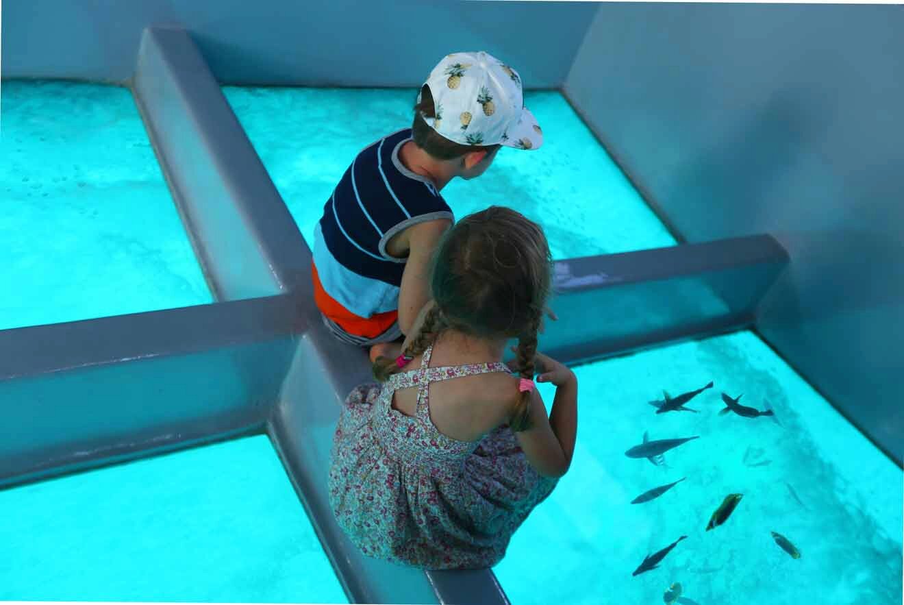 kids watching fish in a glass bottom boat