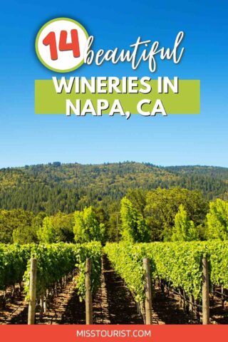 Most Beautiful Wineries in Napa Valley 