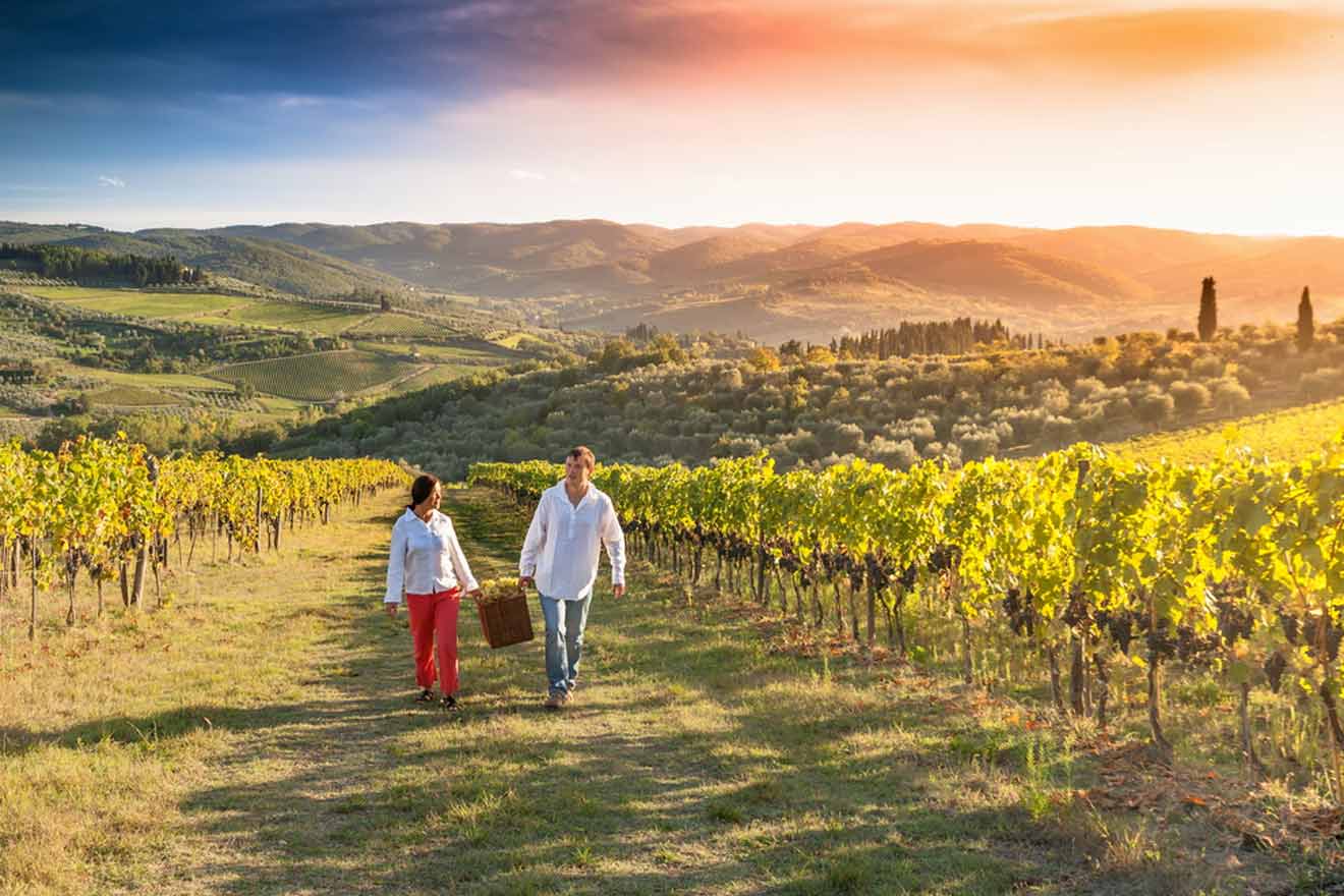 A man and a woman walk through a vineyard at sunset, surrounded by lush grapevines and rolling hills in the background.