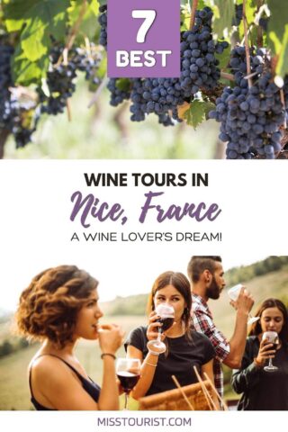 grapevine and people wine tasting