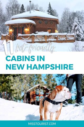 A collage of two photos: cabin in winter, and a dog on the snow