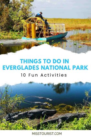 A collage of two photos: airboat and alligators in Everglades National Park