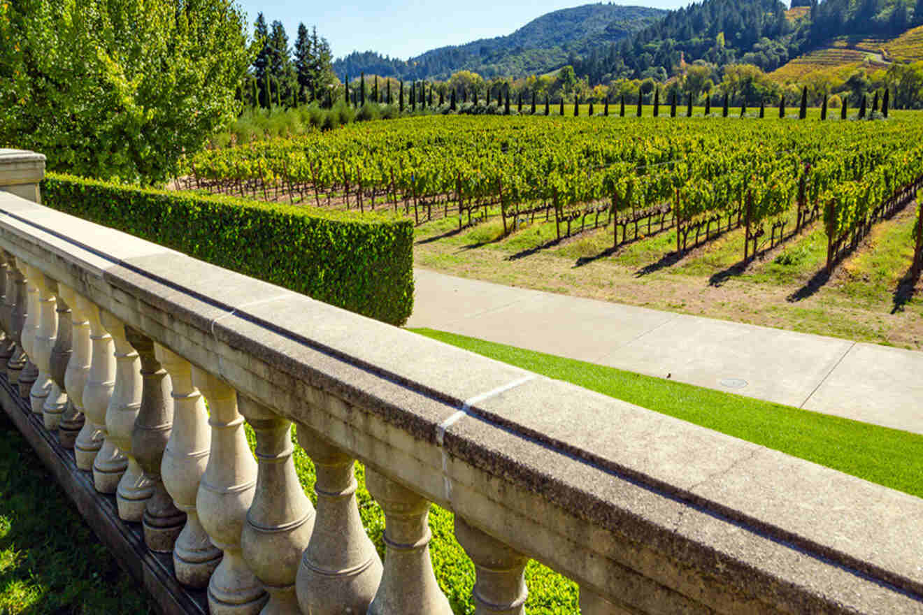 a view of a vineyard from a balcony