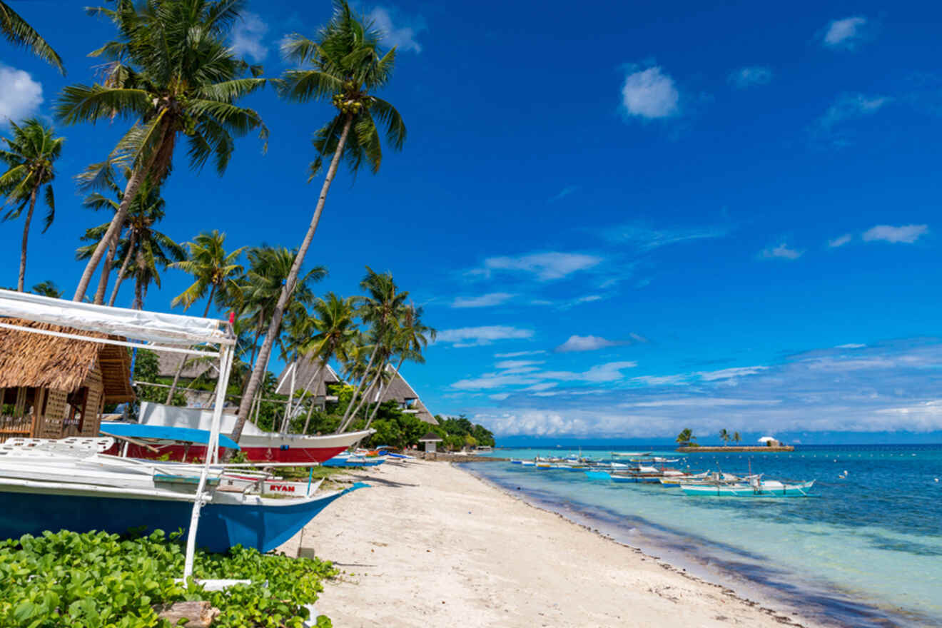 a beach with boats and palm trees on it