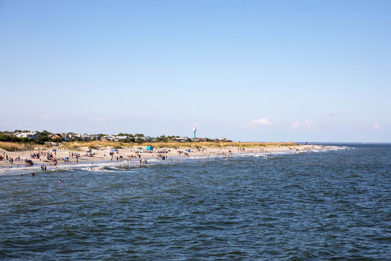 a beach with people