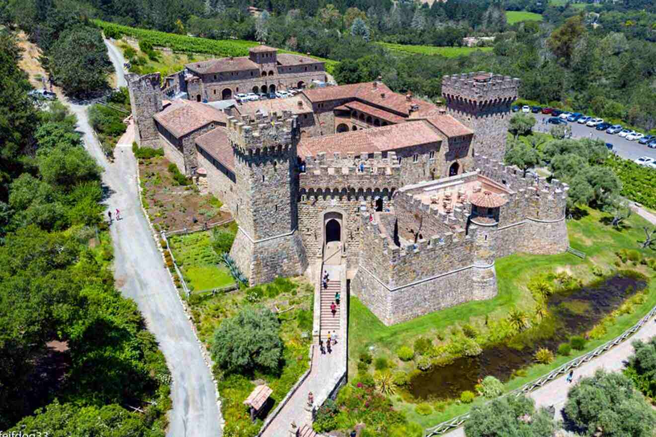 an aerial view of a castle surrounded by trees and grass