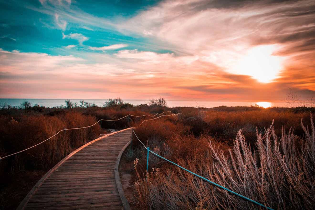 a wooden path leading to the ocean at sunset