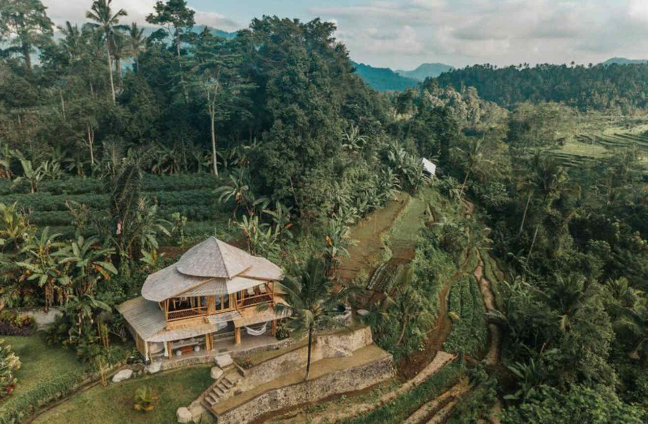 an aerial view of a house in the middle of a jungle