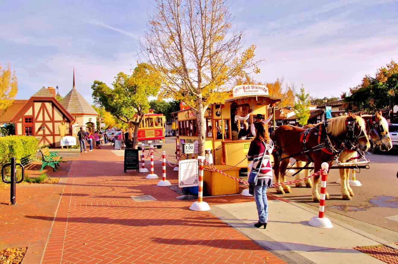 a horse drawn carriage parked on the side of a road