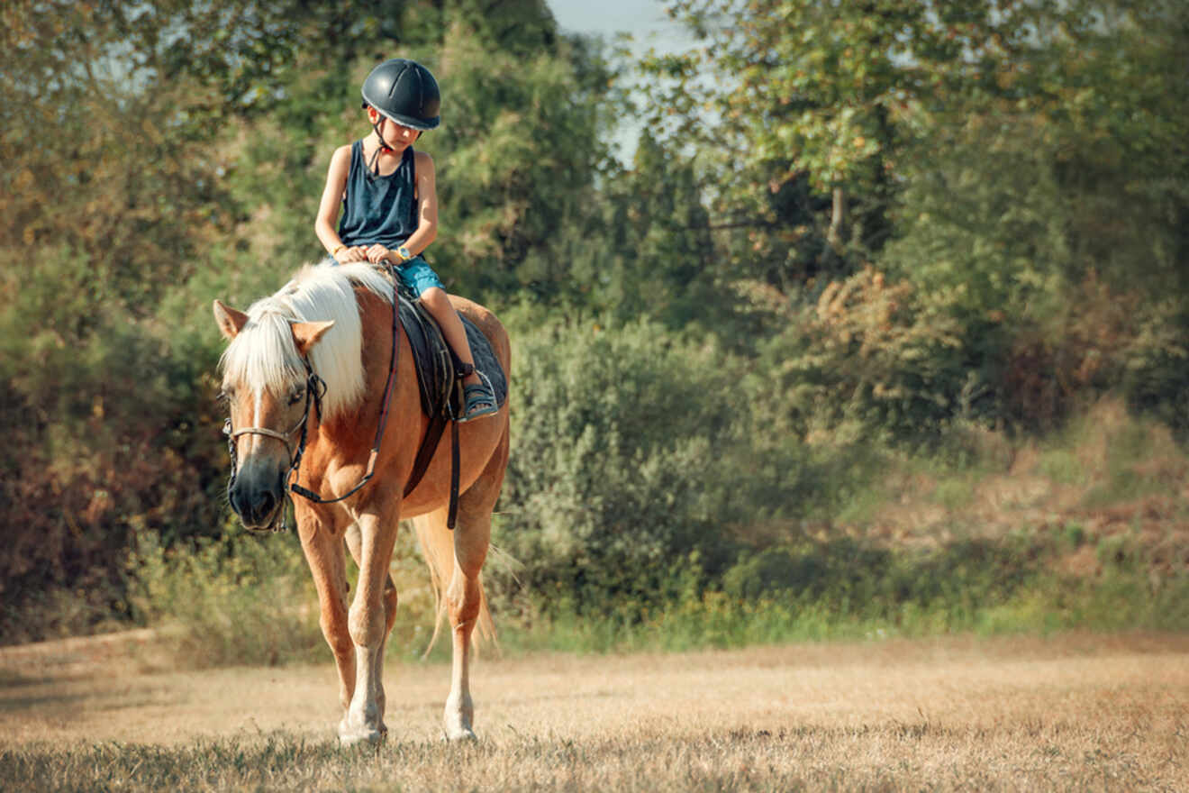 child on a horse