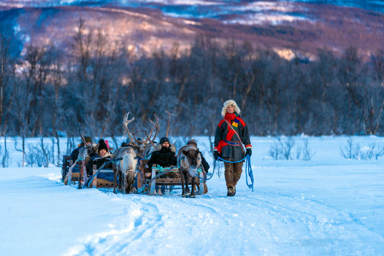 tourists in a reindeer sledding trip