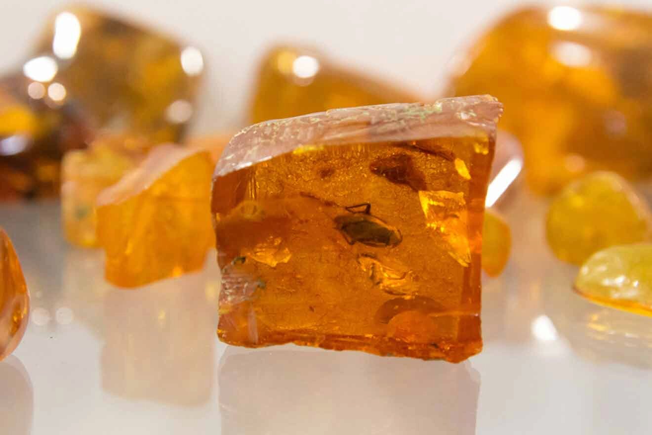 a group of yellow and orange amber stones