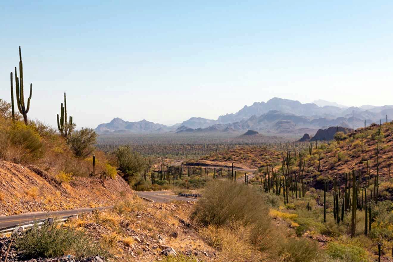 a dirt road in the desert with mountains in the background