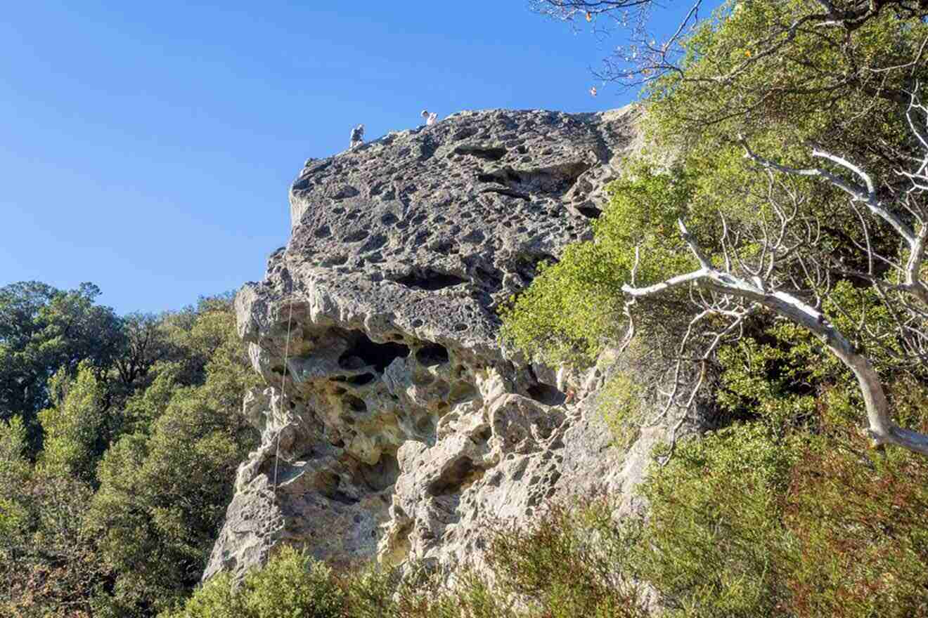 a rocky cliff with trees and bushes on the side