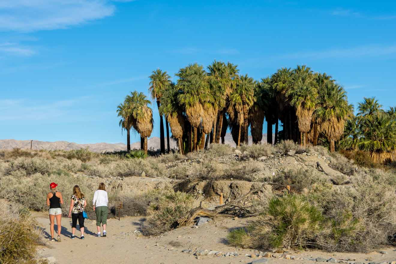 a group of people walking down a dirt road