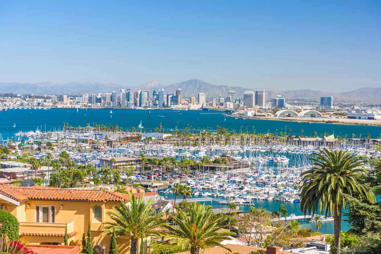 aerial view over the harbour and a city in the background