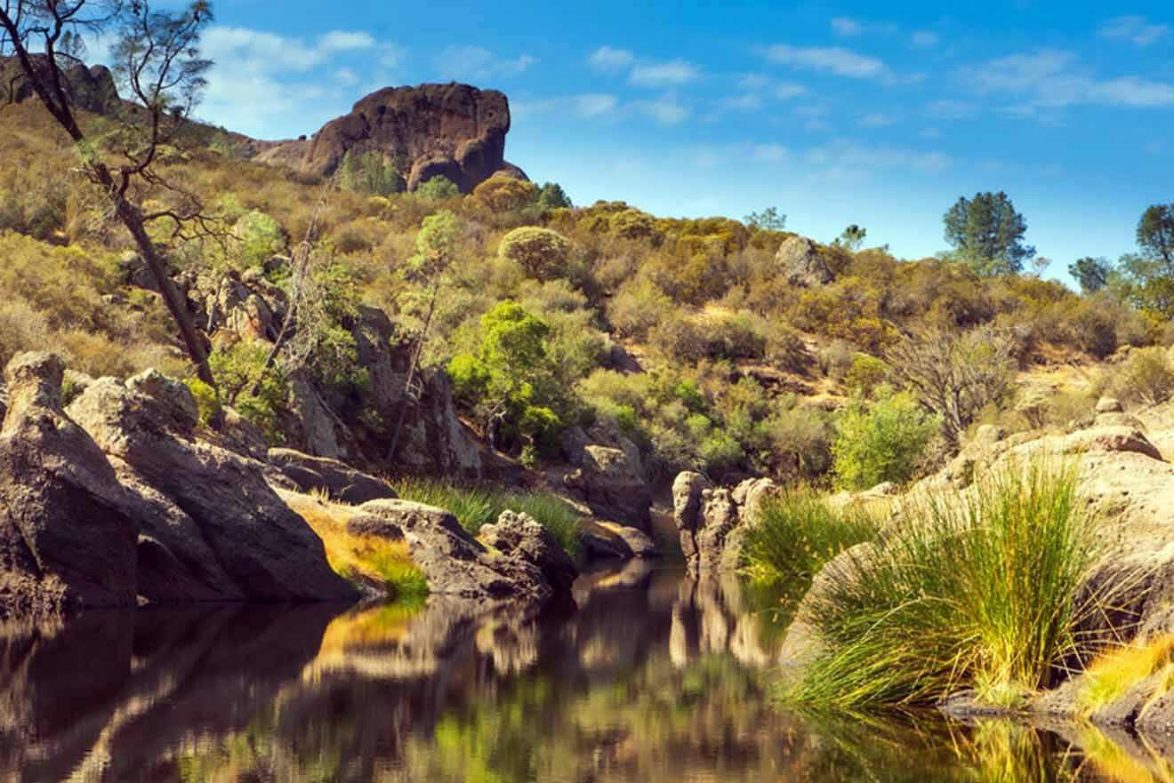 a body of water surrounded by trees and rocks