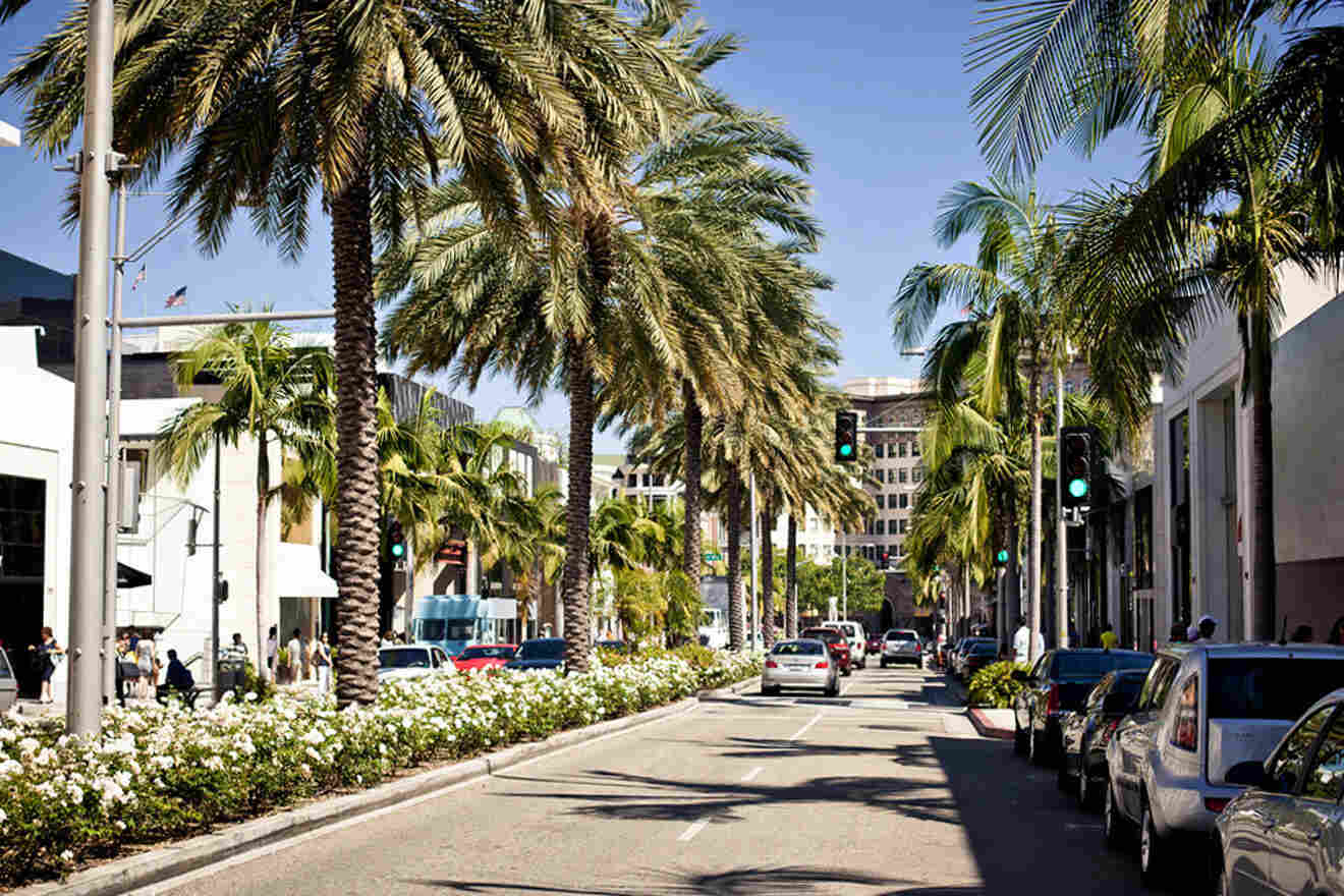 a city street with palm trees and parked cars